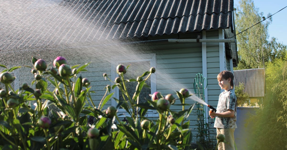 Отдых на даче с современными развлечениями после работы